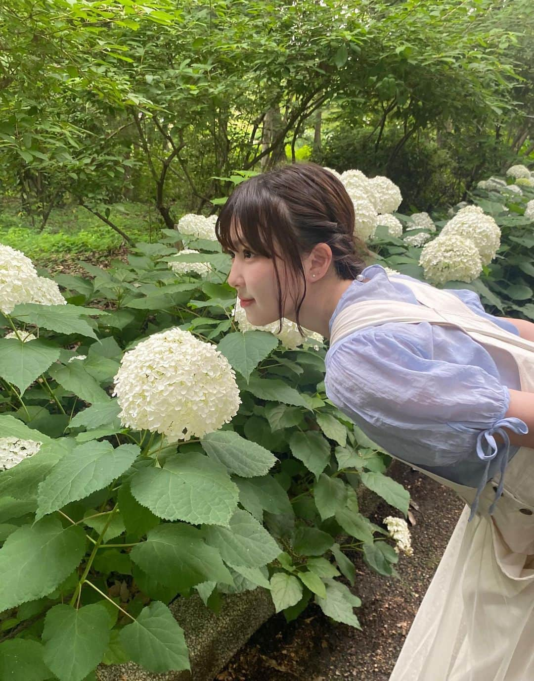 野崎奈菜のインスタグラム：「⁡ 見たことない紫陽花いっぱいあって 綺麗だった☺︎」