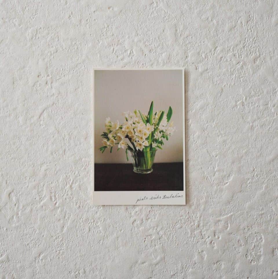 手紙社のインスタグラム：「【「月刊手紙舎」植物の美しさと力強さを写し出す季節のポストカード】 島根県に暮らし、庭で育てた植物や果物を自然の光を大切にフィルムカメラで撮り、それぞれの写真にまつわる文章を添えて、カレンダーやポストカードをつくっているフォトエッセイストの椿野恵里子さん（ tsubakino_eriko ）。「季節の葉書」と名前がついたポストカードは、季節ごとの植物や果物が自然の美しいままに映し出され、見ているだけで植物の美しさと力強さを感じることができます。忙しさに流されず毎日を丁寧に過ごしていきたいと思わせてくれる作品は、お部屋のインテリアとしてもおすすめですよ。TAG STATIONERY（@tag_stationery_store）とコラボした「草木花 ミニインクセット」も併せて楽しんでくださいね。  ▶︎画像左下のショッピングバッグアイコンをタップ！  ーーーーー  【「月刊手紙舎」2023年6月号 概要】  ◎つくり手特集「ヨハク」 ◎大特集「手紙社の包装紙」  #紙もの#紙博#紙雑貨#紙好き#文房具#文具#文具好き#手帳デコ#ノートデコ#手帳の中身#デザイン#手紙社#手紙舎#月刊手紙舎#オンラインイベント#オンラインショップ#tegamisha#kamihaku#paper#stationery#paperlover#paperlover」