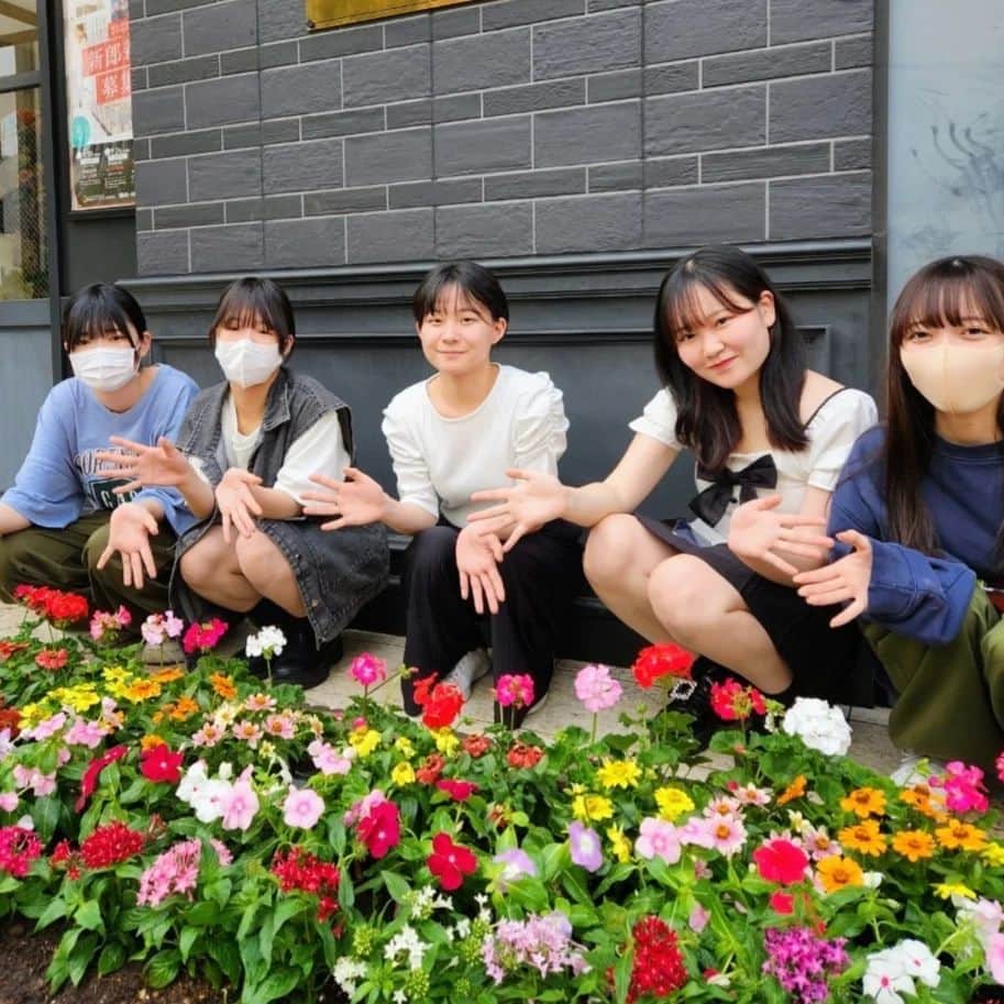 東京ウェディングカレッジのインスタグラム：「#ウェディング科 フラワーコースの学生が花壇をコーディネートしました🏵  皆さん、第2校舎の前に花壇があるのは知っていましたか😊  この度、ブライダルフラワー＆コーディネートコースの学生が、この花壇をコーディネートしてくれました✨ ありがとうございます!  色とりどりでキレーーーイ(^^)  花の種類、彩り、配置、苗の数などすべて学生のフルコーディネートです。  お立ち寄りの際は、ぜひ花壇にもご注目ください🙌  #ブライダルフラワー #ブライダルフローリスト #園芸高校出身 #ブライダル学生 #ブライダル専門学校」