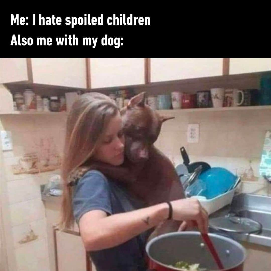 9GAGさんのインスタグラム写真 - (9GAGInstagram)「pets>>> - #pets #dogs #cats #spoiled #kids #memes #9gag」6月26日 2時00分 - 9gag