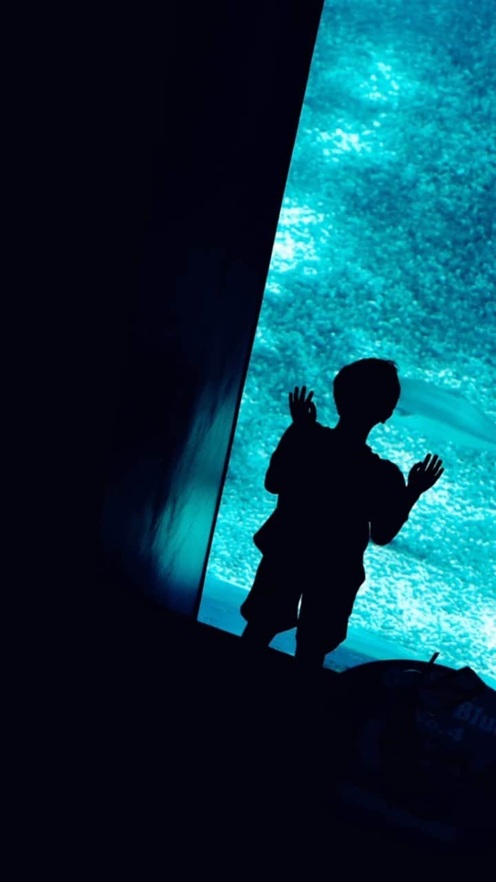荒眞人のインスタグラム：「Blue  #水族館  #美ら海水族館  #沖縄旅行 #沖縄観光」