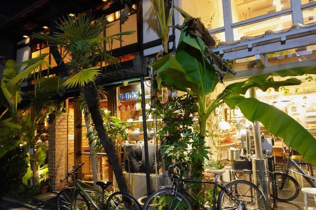 のインスタグラム：「ビブリオティック ハロー！（ @cafebibliotichello ）  京都で夜作業をしたい人、おすすめ🥺 夜23:00までやっていて雰囲気も落ち着いていて、バキバキに作業できました✌️  しかもご飯もめちゃめちゃ美味しいし、コーヒーもこだわっていて最高でした！！！ （焙煎機があってうきうき🥺🧡）  いろんな方があげているインスタをみてみたらお昼は自然光で明るくてまた違う雰囲気みたいだからぜひ昼も夜も行ってみてね🥺✨✨  今回の大旅でWhite Monkeyのあり方がさらにみえてきたぞ！😊  ---------  ビブリオティック ハロー！（ @cafebibliotichello ）  ーーーーーー #ひめ旅日記 #ひめカフェ巡り #京都 #京都カフェ #京都カフェ巡り #カフェ巡り #カフェ好き #カフェ散歩 #カフェ女子 #カフェ活  #コーヒータイム #コーヒースタンド #コーヒー好き #コーヒー豆 #京都夜カフェ #京都ディナー #京都夜作業」