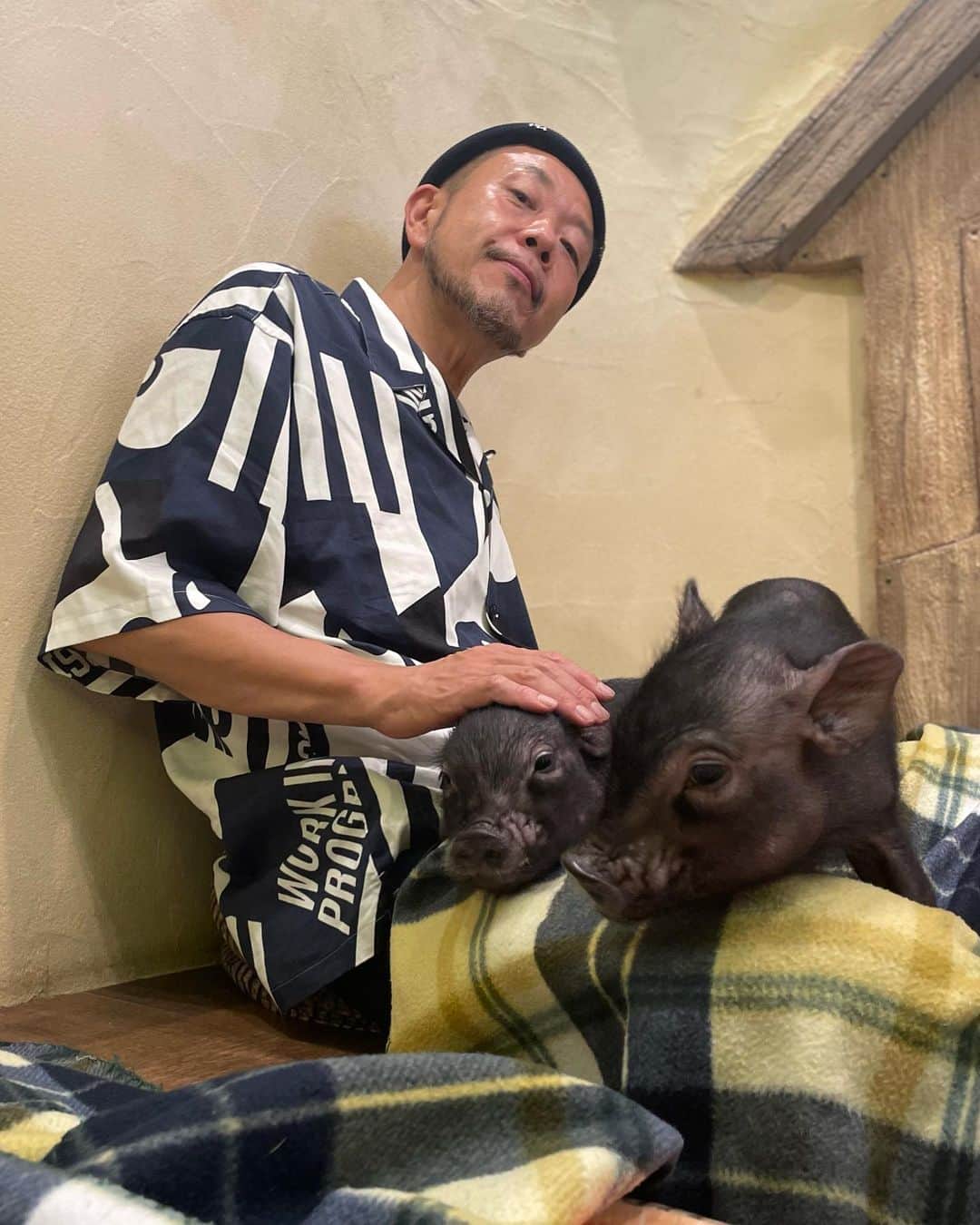 MUROさんのインスタグラム写真 - (MUROInstagram)「子豚に癒された良き休日でした🐷 #チャンノノ」6月25日 18時01分 - dj_muro