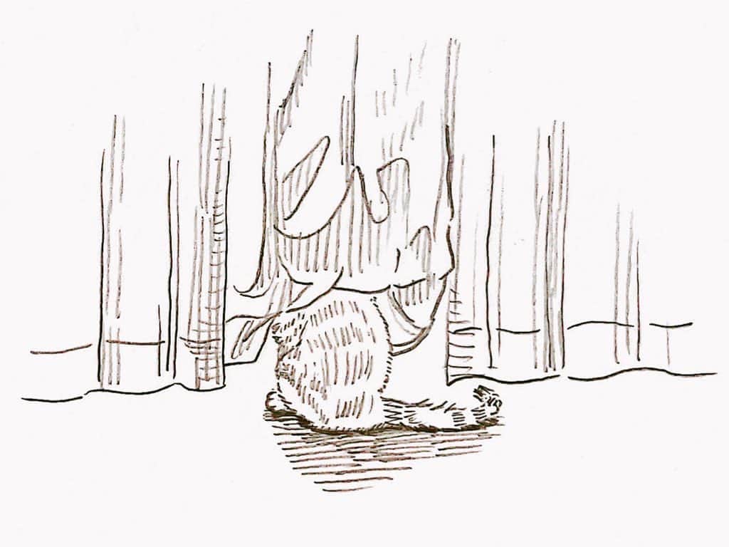 世紀末さんのインスタグラム写真 - (世紀末Instagram)「朝 じっと外を見る猫。 優しい光と色んな音。   #猫のいる暮らし   #illustration  #猫  #世紀末絵」6月25日 18時59分 - se1k1ma2chan