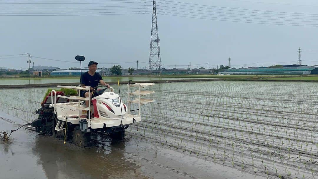 徳永悠平さんのインスタグラム写真 - (徳永悠平Instagram)「今年も田植えのシーズンがやってきました！ 今まで少しずつですが農業に携わってきて難しさを痛感していますが、それ以上に自然や食の素晴らしさを実感してます！ また形になりそうなので楽しみにしといてください‼️ #農業 #無農薬 #お米 #田植え #マルシャル #徳永悠平」6月25日 19時23分 - yuhei02