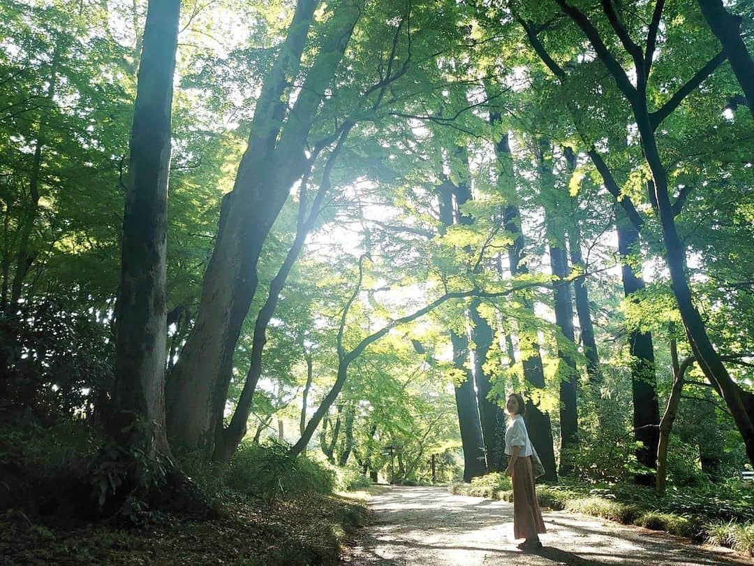 香咲蘭のインスタグラム：「森林浴🌿‬⁡ ⁡⁡ ⁡これからもっと暑くなって⁡ ⁡歩き回るのも大変になっちゃうから⁡ ⁡今のうちにいっぱい歩くんだ✨⁡ ⁡⁡ 遠い所まで来た感あるけど⁡ ⁡#新宿御苑 です。⁡ 御苑の⁡奥の方の森に初めて行ったけど⁡⁡ 新宿であることを忘れそうなくらい⁡ ⁡広い森が広がっていました🌳⁡ ⁡⁡ #ウォーリーを探せ⁡ ⁡みたいな写真🤭 ⁡ ⁡」