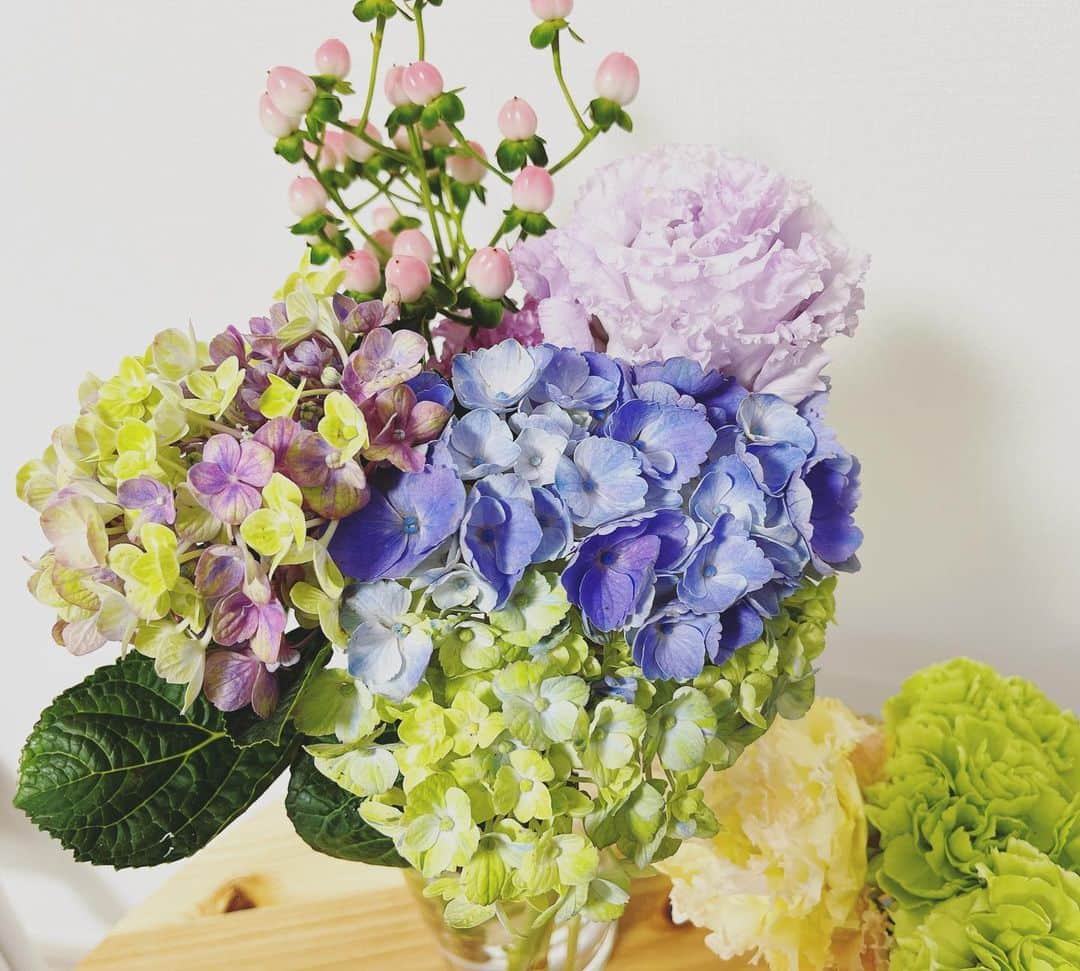 眞家泉さんのインスタグラム写真 - (眞家泉Instagram)「. この滲んだ少し冷たい色、唯一無二だなぁと思いながらずっと見てた。 今週は、好きなカラーも仲間入り もふもふは、ギガンジウムというみたい みんなも紫陽花、みてるかな💠 #紫陽花 #カラー #hydrangea #callalily」6月25日 19時25分 - maie_izumi