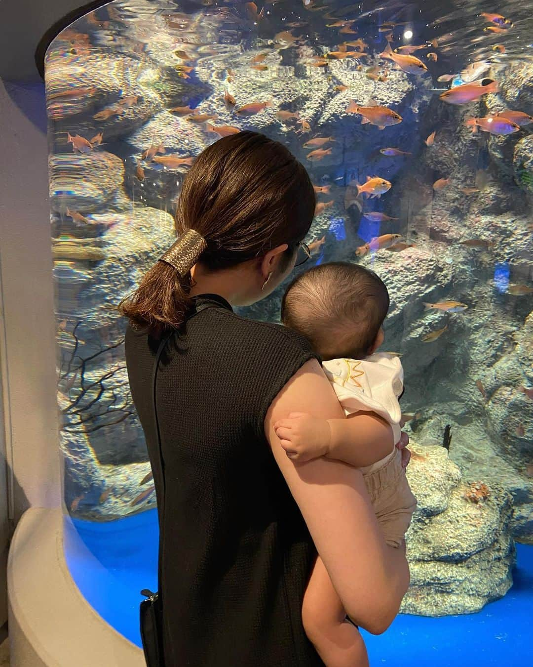 樋浦結花のインスタグラム：「・ 👶🏻水族館デビュー🐟🐡🐠  目をキラキラさせて お魚さんたちを見ていました💙  りっくんにとって たくさんの刺激だったろうな〜🥰  最後は眠くてグズグズ🥱💤  楽しかったね❤️ これからもいろんな場所に行こうね❤️😍💕  #しながわ水族館 #イルカショー #水族館デビュー #生後6ヶ月 #6ヶ月ベビー #第一子出産 #寅年ベビー #新米ママ #子育てママ #令和4年ベビー #12月生まれ #親バカ部 #親バカ #ママリ #ベビフル #コドモノ #赤ちゃんのいる暮らし #赤ちゃんのいる生活 #男の子ママ #男の子ベビー #ベビスタグラム #薄毛ボーイ #薄毛ベビー」