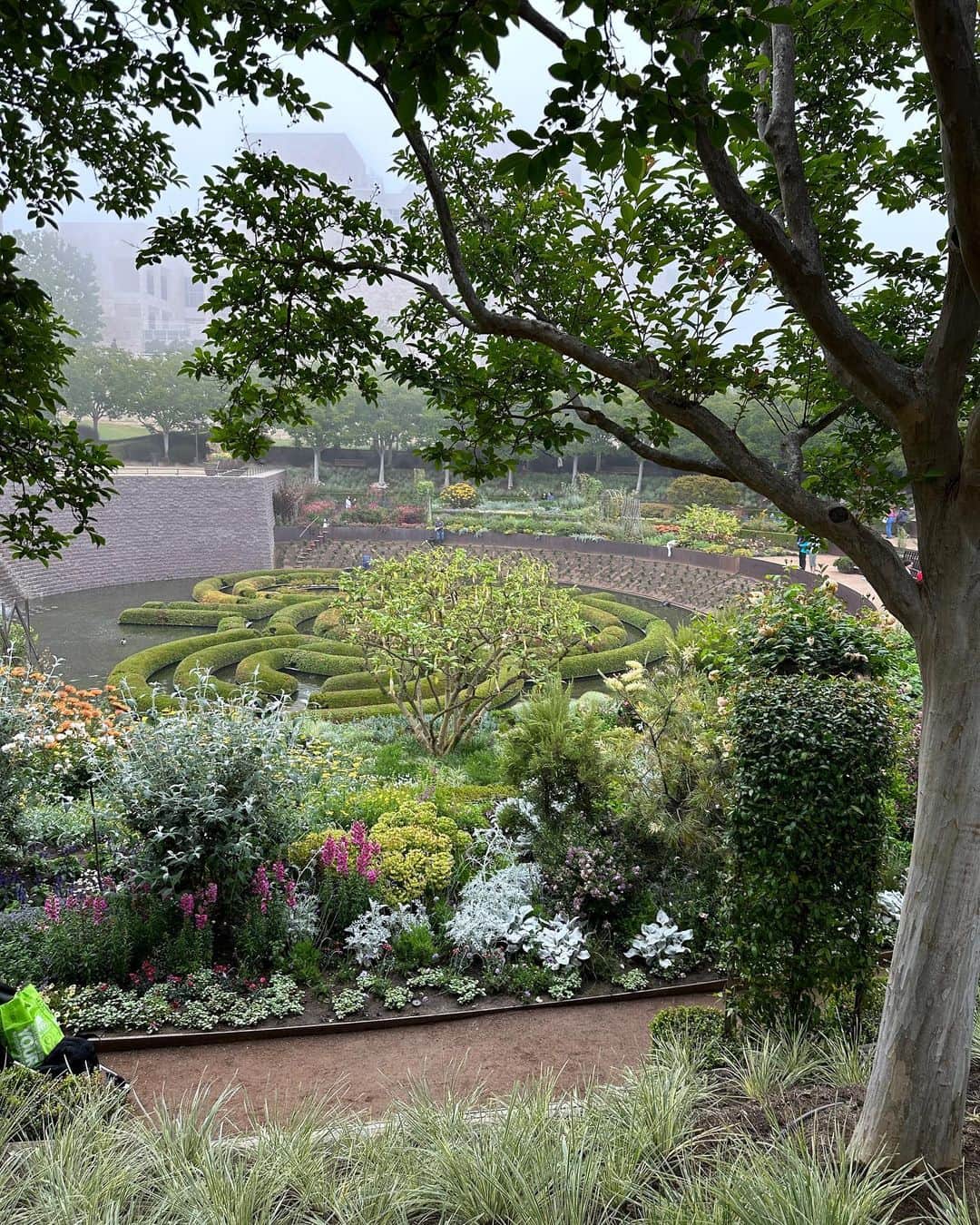 樋口葉生さんのインスタグラム写真 - (樋口葉生Instagram)「getty center & county museum ⛲️」6月25日 19時34分 - haohiguchi
