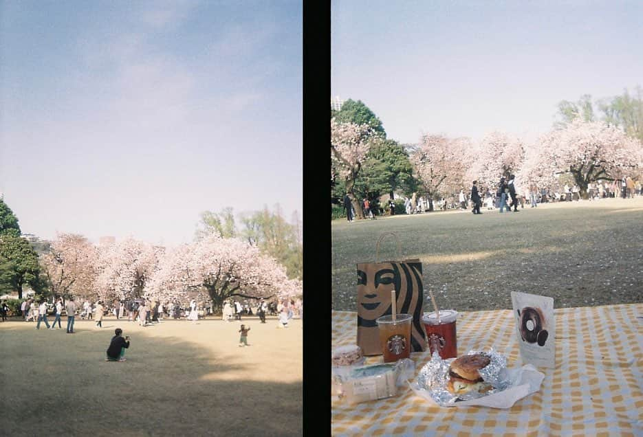 鈴本美愉さんのインスタグラム写真 - (鈴本美愉Instagram)「. フィルムやっと現像してきた🎞️ 今撮ってる最中のやつも楽しみ📷」6月25日 19時37分 - suzumotomiyu125