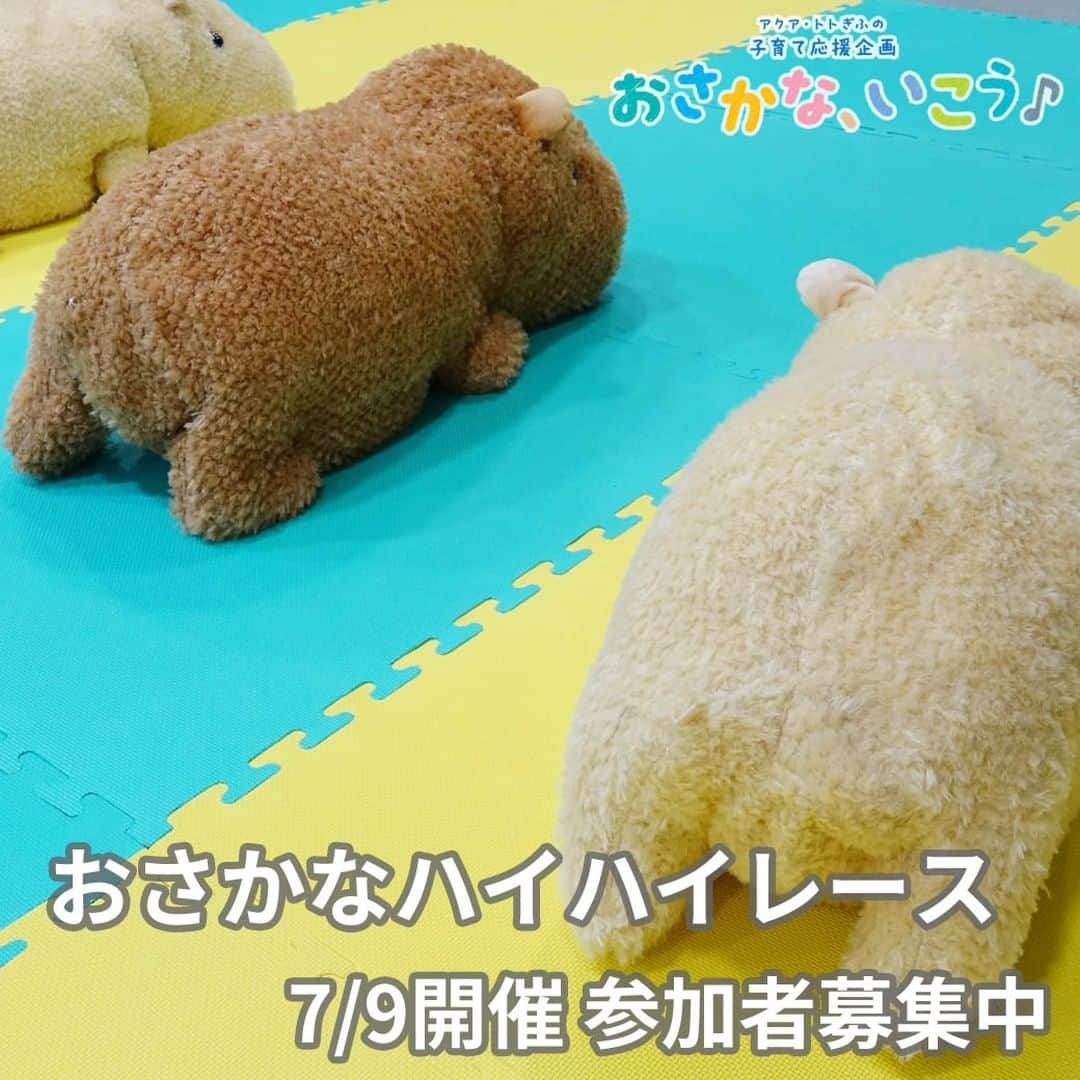 のインスタグラム：「おさかなハイハイレースの募集を開始しました！  今回は春よりも定員を増やして、午前午後の2回開催します。  詳しくはHPの『子育て応援企画　おさかな、いこう♪』をご覧ください。  #アクアトト #水族館 #aquarium #おさかないこう #子育て #オアシスパーク #河川環境楽園」