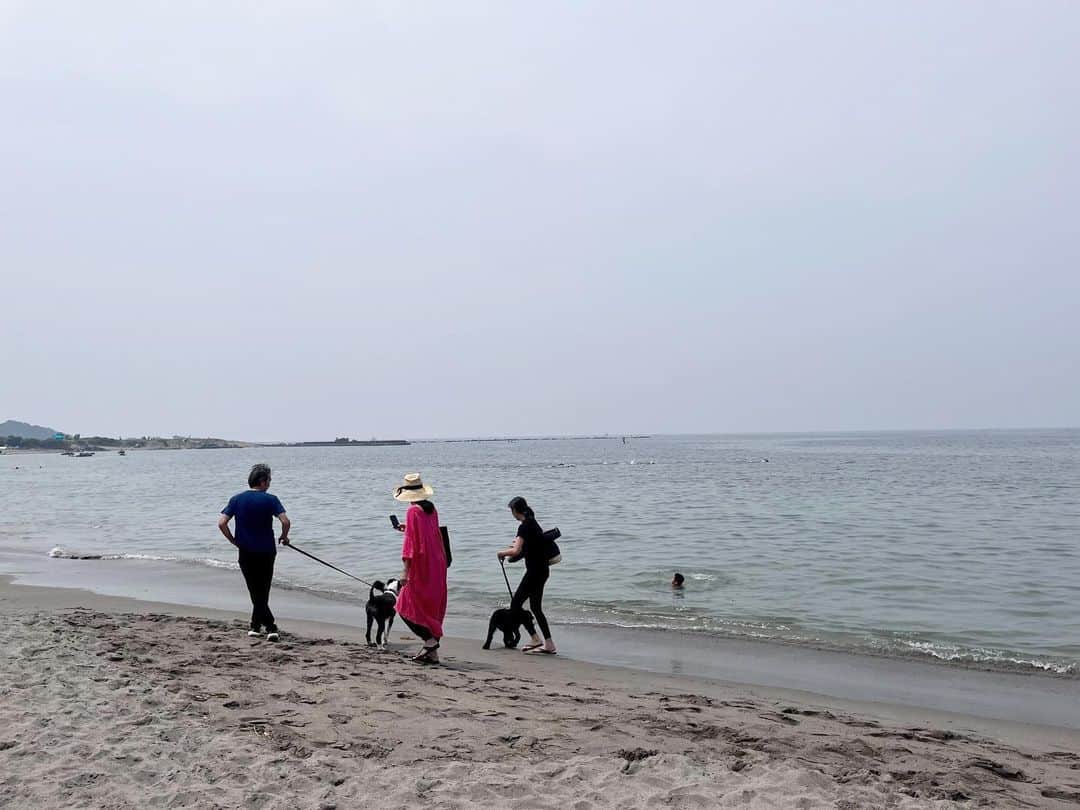 桐島かれんのインスタグラム：「家族で海へ。」