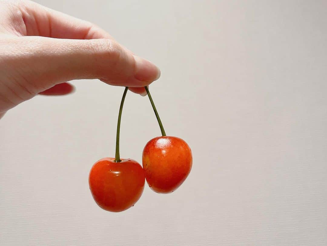 平山雅さんのインスタグラム写真 - (平山雅Instagram)「🍒🤍 毎日さくらんぼ生活 食べ終わってしまいさみしんぼ🥲  #こんなに写真撮りたくなる果物はないね🥹 #かわいい #さくらんぼ #山形さくらんぼ  #宮城旅行で箱買い #🍒」6月25日 19時56分 - miyabi_hirayama114