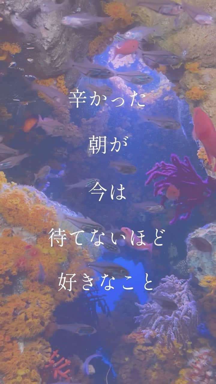 二宮愛のインスタグラム：「📣保存タップをお忘れなく↗️‼️  EP【Swimming Baby】より Track #2  「 #恋をして 」 ショートlyric動画だよ🎥🐠🫧  フレッシュな感じの楽曲も含まれている #AiNinomiya のnew EP 【 #SwimmingBaby 】 2023.JUNE.28 リリース  #applemusic と #spotify を使っているみんなは、 ⚠️プリアド&プリセーブを忘れずに⚠️  ↓リンクはプロフィールから↓ https://lnk.to/AN_SB」