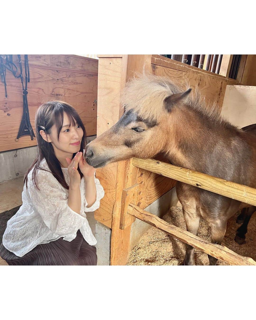 菅井友香さんのインスタグラム写真 - (菅井友香Instagram)「上半期最後の『競馬BEAT』無事に締めくくることができました🏇  「宝塚記念」ではイクイノックスの圧巻の走りに鳥肌が立ちました‼︎ 阪神競馬場で熱気を感じることができ嬉しかったです！  これが世界一の走りなんですね、、、‼︎  イクイノックス×ルメール騎手 おめでとうございました🏆  2月末から番組に出演させて頂き、競馬のこと、MCのこと、サポート頂きながら学ばせて頂いています。  温かく番組を見守ってくださっている皆さま、応援してくださっている皆さま、本当にありがとうございます✨  7月末までしばらくお休みとなりますが、また番組でお会いできるのを楽しみにしております🥕  これからも頑張ります！  #宝塚記念 #イクイノックス  #競馬beat  #夏競馬も楽しみ」6月25日 20時01分 - yuuka_sugai_official