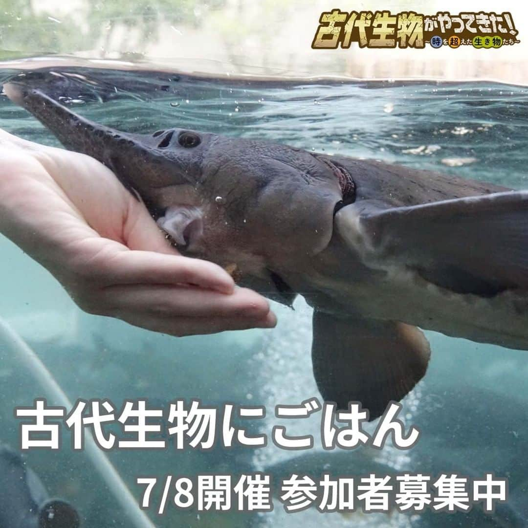 世界淡水魚園水族館 アクア・トト ぎふのインスタグラム