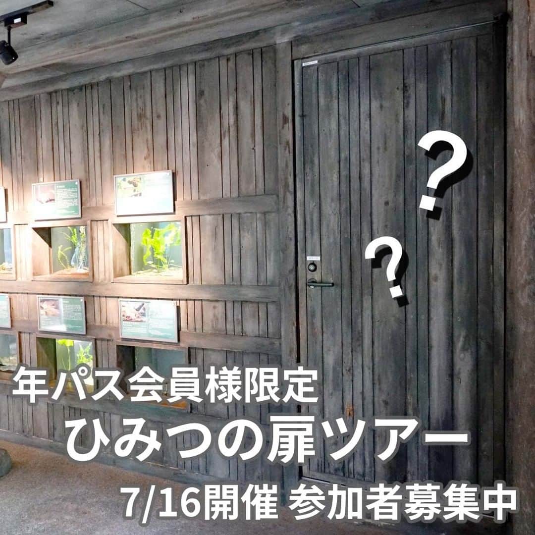 のインスタグラム：「年パス会員様限定の企画『ひみつの扉ツアー』の参加者を募集中です。  あなたの気になる扉のひみつがわかるかも！？  詳しくはHPの『ひみつの扉ツアー』をご覧ください。  #アクアトト #水族館 #aquarium #オアシスパーク #河川環境楽園」