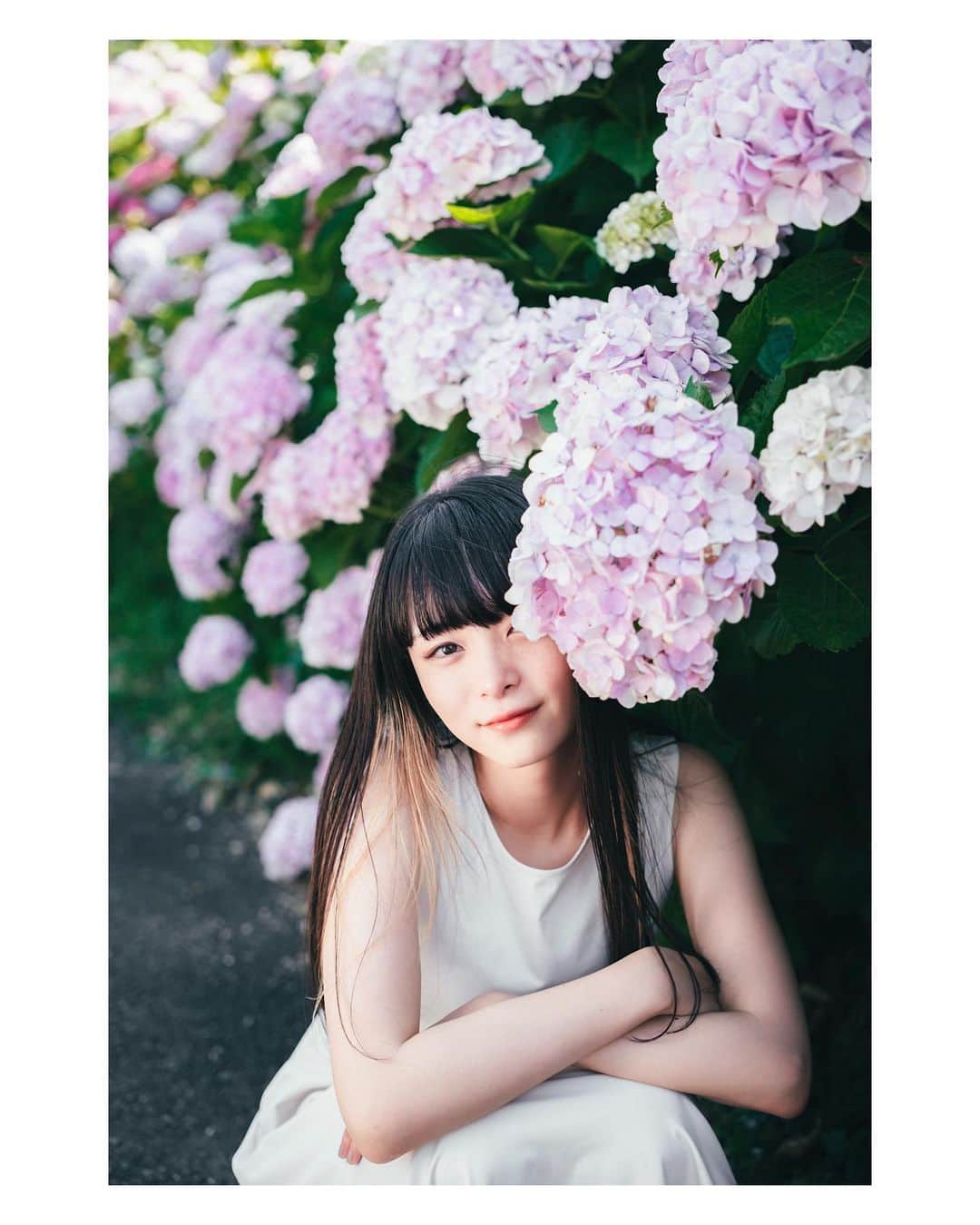Yuma Takatsukiさんのインスタグラム写真 - (Yuma TakatsukiInstagram)「. . . hydrangea . . . . . . 紫陽花ももう終わりだと思うので載せとこ。 ⁡ 7月のフォトウォークまだまだ募集してます。 ぜひ初心者の方にも来てほしい企画なので 何でも疑問点とかあればお気軽にDMください！ ⁡ それでは今日もお疲れさまでした！ . Japan X-T5／XF33mmF1.4 WR . -----------------------------------------  ITTOKO写真展『ほな、いっとこ！』 vol.4 　　　　　　　　　　　　　　　〜FIND〜  会期 : 2023.06.28(水)〜07.03(月) 時間 : 12:00〜20:00 　　　(初日は14:00~,最終日は18:00迄) 場所 : イロリムラ 2F 〒 530-0016 大阪府大阪市北区中崎1丁目4番15号  ----------------------------------------- . #fujifilm  #fujifilm_xseries  #富士フイルム  . ―――――――――――――――――――――――――― 関西を中心にフリーランスで活動しています。 Web広告、個人撮影、家族撮影、PR撮影など、 6月以降の撮影依頼募集中です。 ⁡ ⁡Yuma Takatsukiオリジナルプリセットも販売中です。 ⁡プロフィールのポートフォリオサイトからご覧下さい。  またフォトサークルITTOKOという活動をしています。 ⁡ハイライトに色んなイベントをまとめています。 ――――――――――――――――――――――――――」6月25日 20時23分 - yu_umaa06