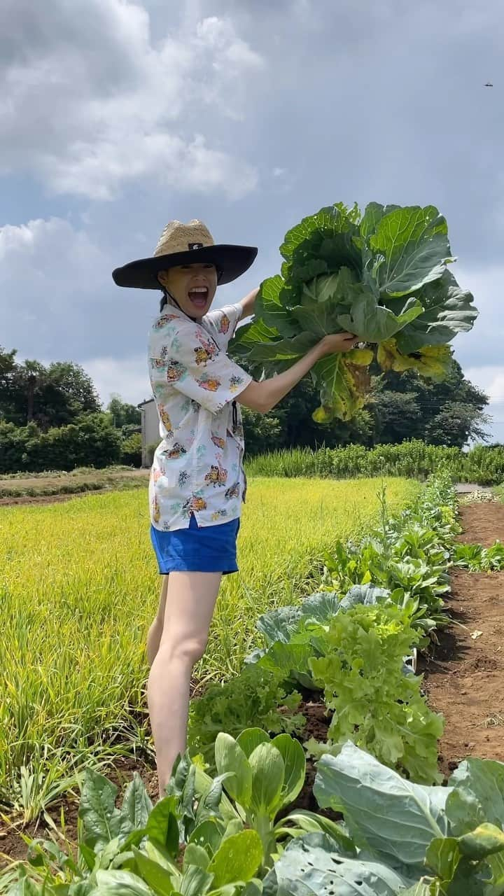 優美のインスタグラム：「- Life is gift!! Thank you for amazing vegetables🥬 大好き🤍  #1日1大好き #優美 #昭和感 #大好き #love #vegan #ethical #ヴィーガン #農活 #organic」