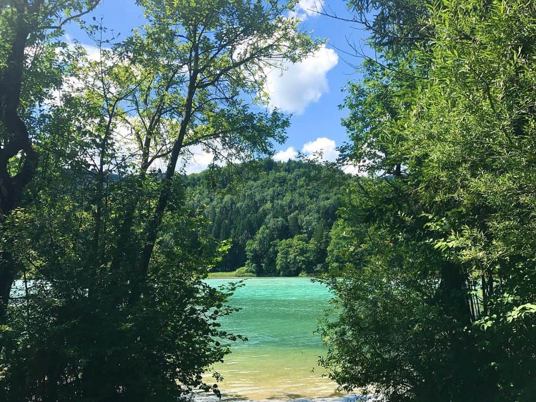 中谷美紀さんのインスタグラム写真 - (中谷美紀Instagram)「沖縄でもなく、ハワイでもなく、カリブ海でもなく、ザルツブルク郊外にあるフシュル湖です。  こちらで採れるイワナや鱒が鮮魚店で直販されていて、とてもおいしいのです。  #オーストリア #ザルツブルク #ザルツカンマーグート #湖水地方 #フシュル湖 #田舎暮らし #中谷美紀 #austria #salzburg #salzkammergut  #fuschlsee  #mikinakatani」6月25日 20時33分 - mikinakatanioffiziell