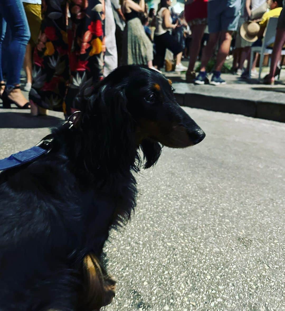 辻仁成さんのインスタグラム写真 - (辻仁成Instagram)「三四郎とフランスを出ました。 いま、イタリア🇮🇹にいまーす。 まもなく、移動します！😆」6月25日 20時44分 - tsujihitonari