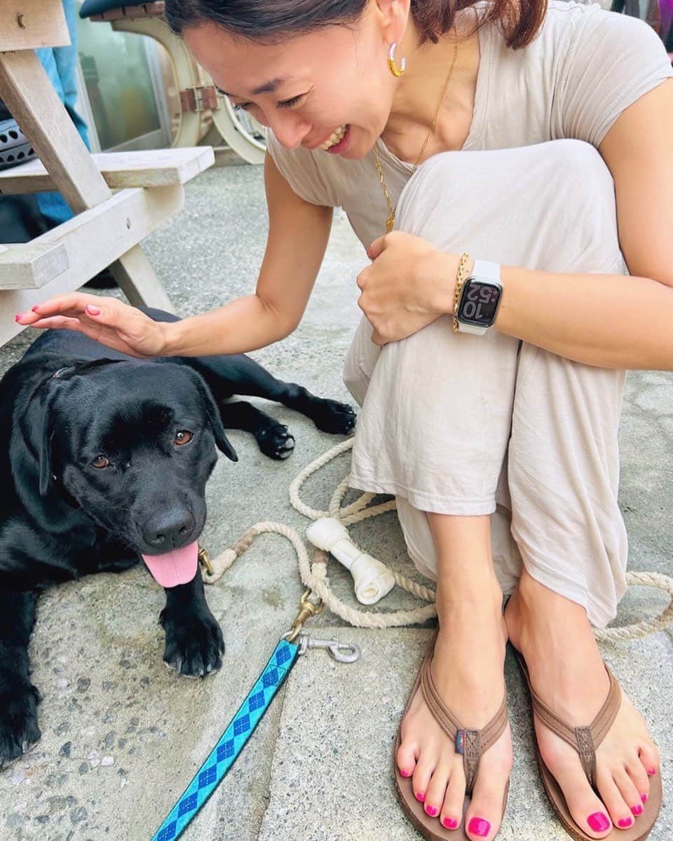 野沢和香のインスタグラム：「夢中♡😍 なーんて可愛いのさ🐕♡  今日は夏を感じる天気でしたね🏝️ 私はSUPで海散歩♪のんびりリフレッシュできて良い休日でした🙏 自然っていいね🐬」