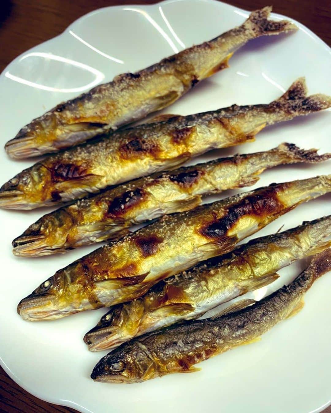 野口健のインスタグラム：「近所の真木の兼子さんが、今朝、釣ったばかりの鮎を持って来てくれました＼(^ω^)／　  塩焼きにしたら、ホッペが落ちそうな程、美味しかった！！！鮎の肝の苦み、クセになりそう。  兼子さん、毎年、毎年、ありがとう🙏　そして、来年も😉  #鮎の塩焼き #野口健#あおちゅう#大月#真木#鮎」