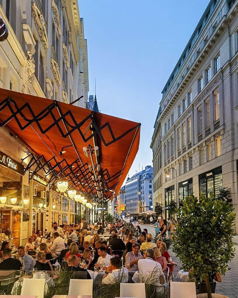 Wien | Viennaさんのインスタグラム写真 - (Wien | ViennaInstagram)「Ending the day with a drink at @zumschwarzenkameel and enjoying the fabulous weather. 🥂✨ by @vienna_alexxandra #ViennaNow  #vienna #wien #zumschwarzenkameel #restaurant #travelgram #traveleurope」6月26日 2時33分 - viennatouristboard