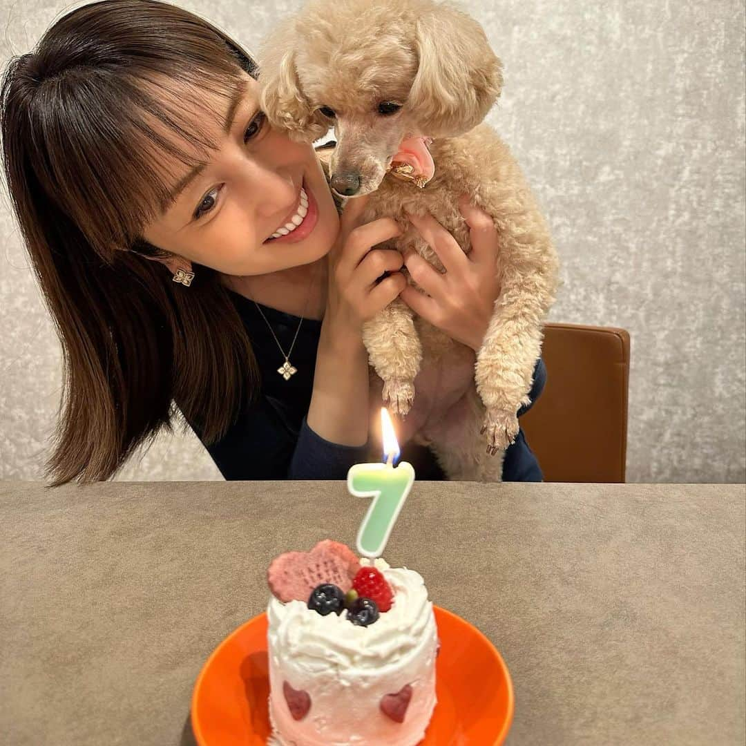 矢田亜希子さんのインスタグラム写真 - (矢田亜希子Instagram)「6月23日で うちのもなかが7歳になりました❣️健康で元気で長生きしてね💕 #もなか#toypoodle #7歳#愛犬」6月25日 21時06分 - akiko_yada