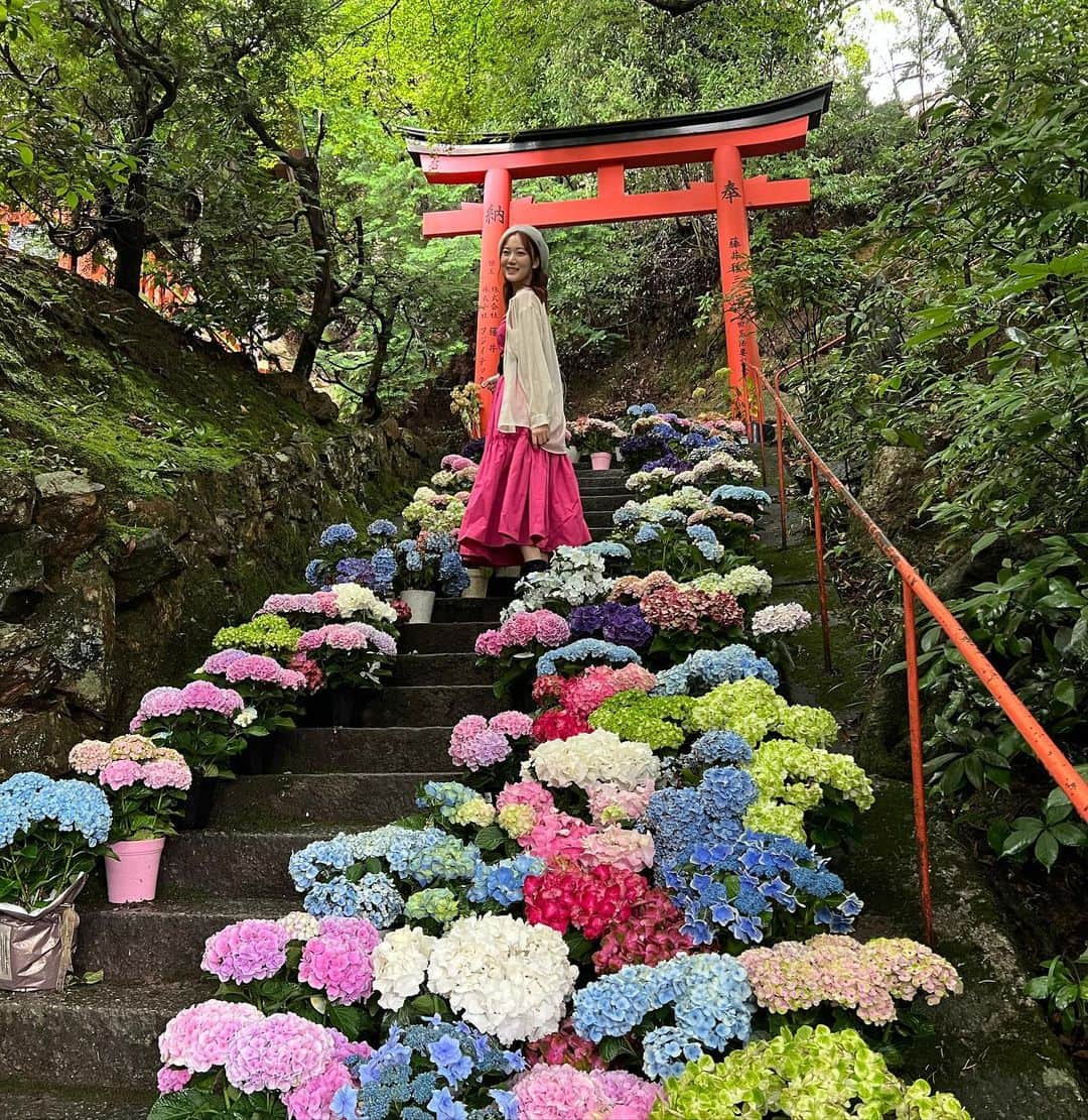 眞鍋杏樹のインスタグラム：「紫陽花観てきました💐 最近自分の中で一番大好きな花♡  #京都 #京都観光 #楊谷寺 #柳谷観音 #紫陽花 #花手水 #長岡京 #なないろ手水 #アイドル #nmb48 #02 #02년생 #02line #fyp」