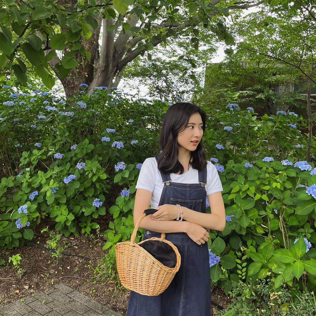 林萌々香さんのインスタグラム写真 - (林萌々香Instagram)「紫陽花って色んな色あるんだな〜って思ってたら土の酸性度によって色変わるみたい😳 知らなかった!という話🫢笑  あとヘアチェンジしてみた✌🏻  #紫陽花」6月25日 21時12分 - momoka_hayashi