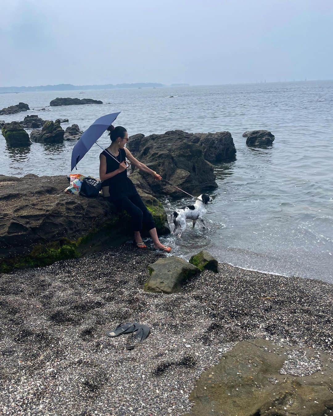 牧野紗弥さんのインスタグラム写真 - (牧野紗弥Instagram)「ピーカン晴れの海日和。 横須賀にある「ソレイユの丘」は海もあって広い公園もあって動物やバードショーもある私的最強の遊び場♡ 犬の入れるスペースが限られているから途中ふた手に分かれて遊ぶことなったけど、びっしょびしょになりながらの浜辺探検は子供達もアニーも楽しそうだった‼️ 人も少なくてカニ取りなどの磯遊びをするのにオススメ海岸でーす🤭✨」6月25日 21時22分 - makinosaya