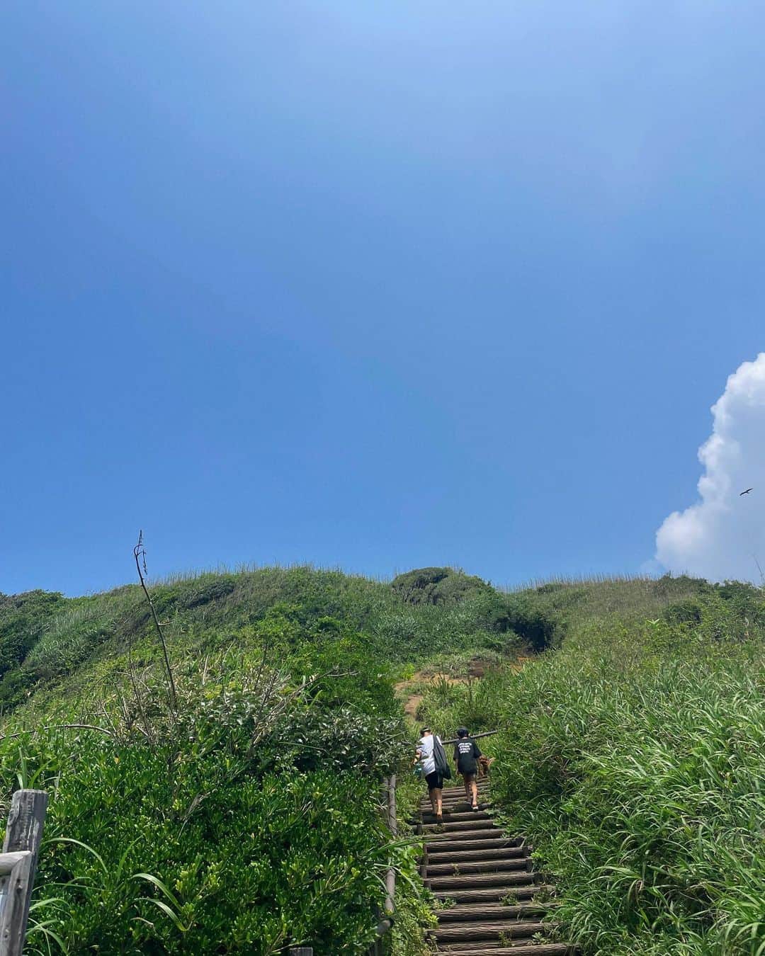 牧野紗弥さんのインスタグラム写真 - (牧野紗弥Instagram)「ピーカン晴れの海日和。 横須賀にある「ソレイユの丘」は海もあって広い公園もあって動物やバードショーもある私的最強の遊び場♡ 犬の入れるスペースが限られているから途中ふた手に分かれて遊ぶことなったけど、びっしょびしょになりながらの浜辺探検は子供達もアニーも楽しそうだった‼️ 人も少なくてカニ取りなどの磯遊びをするのにオススメ海岸でーす🤭✨」6月25日 21時22分 - makinosaya