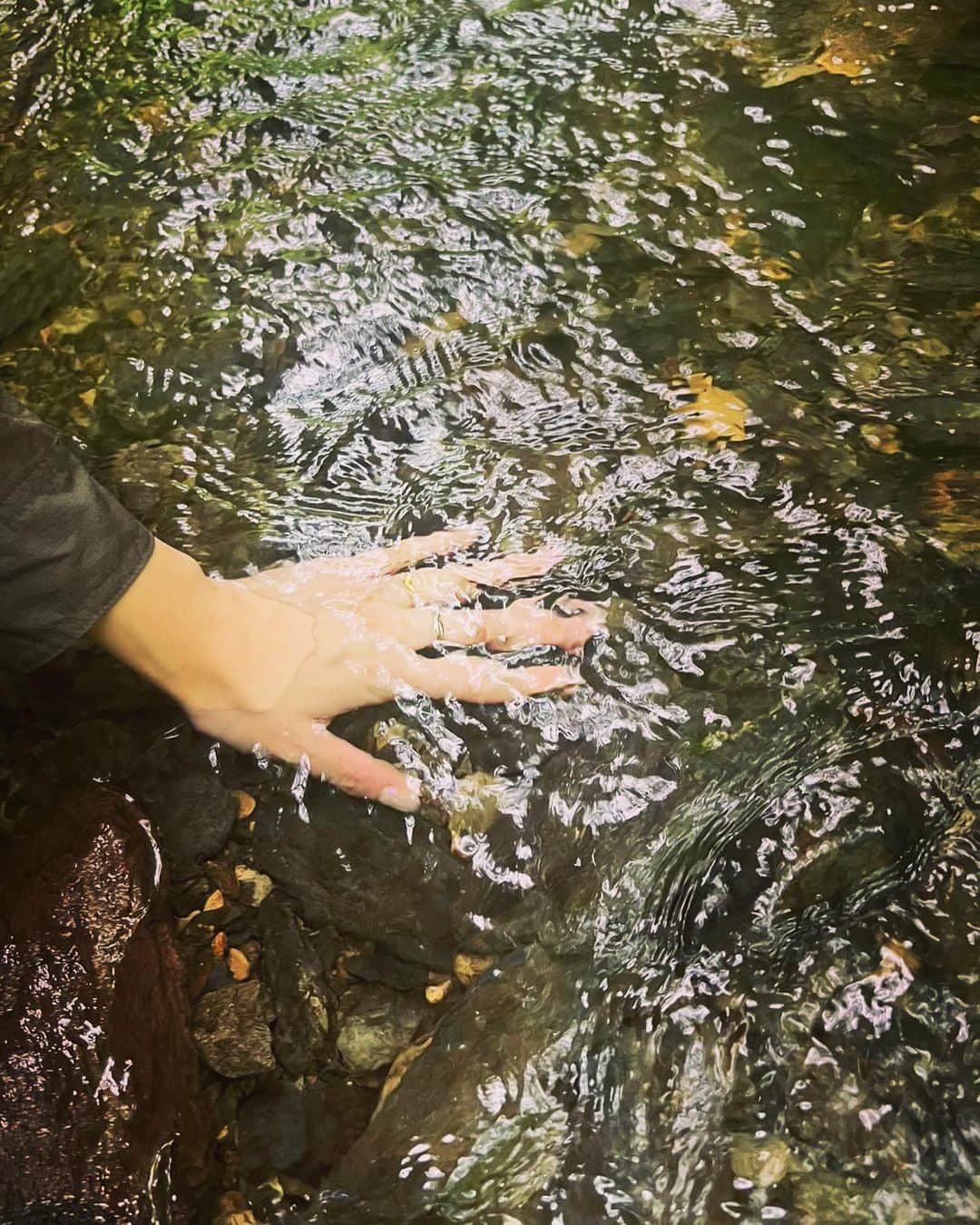 YUKA さんのインスタグラム写真 - (YUKA Instagram)「ひさしぶりに山へ。 沢に沿って歩いて。 水の流れは、清らかで、透明で、すーっと、心が溶けた🧊 音がうつくしかった。 毎日でも登りたい⛰  山に、住みたい。笑」6月25日 21時40分 - yukamoumoon