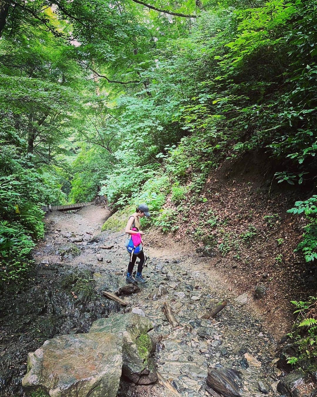 YUKA さんのインスタグラム写真 - (YUKA Instagram)「ひさしぶりに山へ。 沢に沿って歩いて。 水の流れは、清らかで、透明で、すーっと、心が溶けた🧊 音がうつくしかった。 毎日でも登りたい⛰  山に、住みたい。笑」6月25日 21時40分 - yukamoumoon