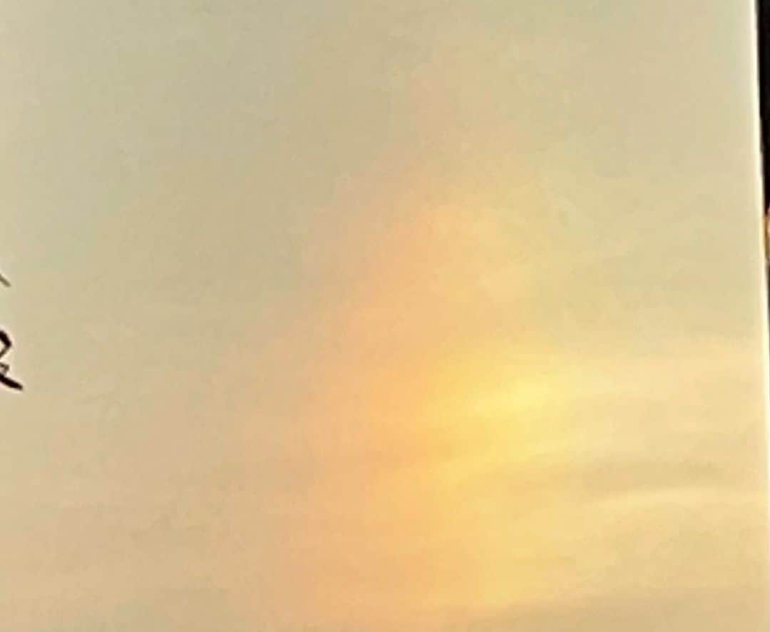 吉井明子さんのインスタグラム写真 - (吉井明子Instagram)「きのう見た幻日🌈 撮影は片方ずつになってしまいましたが、両側に見えました。嬉しい☺️  「幻日（げんじつ）」は太陽の横で、薄雲が虹色に輝く現象です🌈太陽高度が低い時に現れやすく、朝日や夕日の両脇によく見られます😌（位置関係は2枚目に）  ※目では太陽を直接見ないように撮りました✨  #東京の空 #幻日 #太陽の横 #虹色 #🌈 #気象情報 #天気予報 #気象予報士 #気象キャスター #weatherforecaster #기상캐스터　#氣象主播 #吉井明子」6月25日 21時47分 - akiko_yoshii_sunny_rain