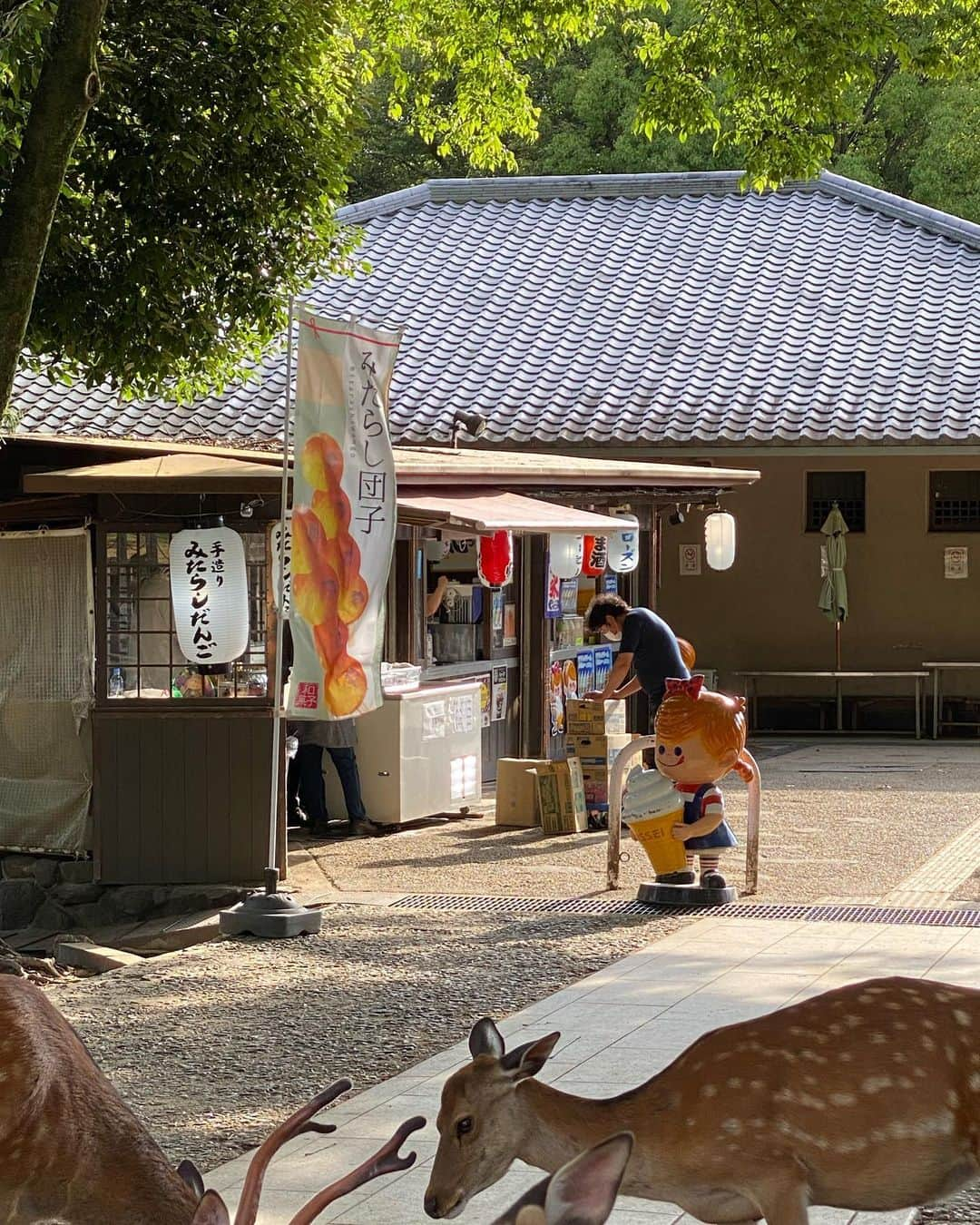 ネオンムーンさんのインスタグラム写真 - (ネオンムーンInstagram)「사진첩에 사슴 사진만 10000장...♥︎ (4번째 아기 사슴은 꼭 소리 켜고 보시기ㅠㅠ) 마지막 사진은 10년 전 나라공원 에서의 나🫢」6月25日 22時01分 - neon__moon