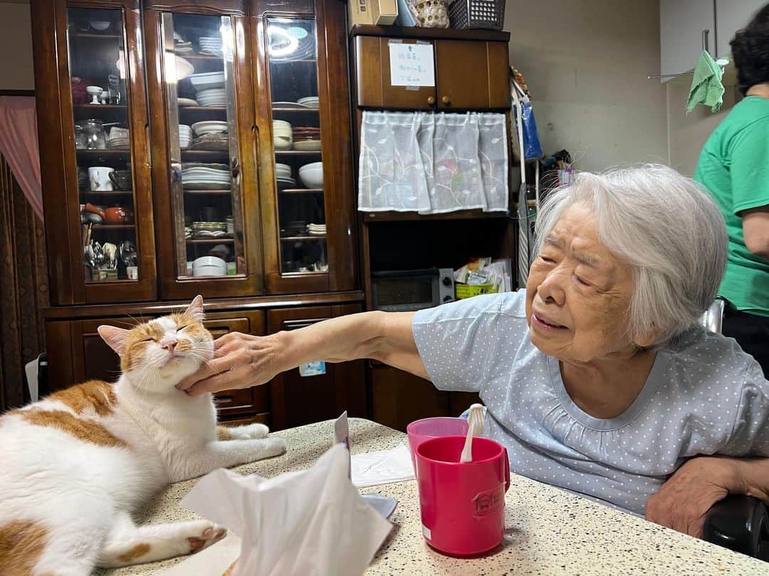 Kachimo Yoshimatsuのインスタグラム：「あ〜、しょこしょこ。  あ〜、きもちいい〜｡  #うちの猫ら #猫 #ikasumi #バーバ #バーバと猫 #ねこ #ニャンスタグラム #にゃんすたぐらむ #ねこのきもち #cat #ネコ #catstagram #ネコ部 http://kachimo.exblog.jp」