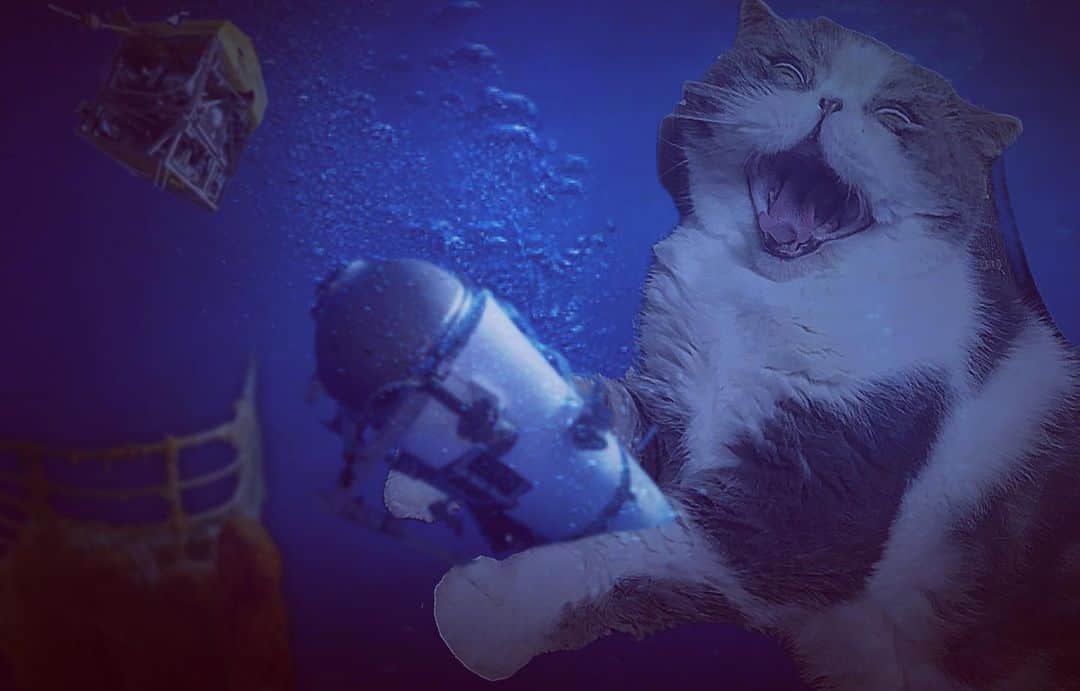 ムスカ(Muska)さんのインスタグラム写真 - (ムスカ(Muska)Instagram)「タイタンは、タイタニックの主の怒りに触れてしまった…😾  #タイタン #Titan #タイタニック #Titanic  #ムスカ #エキゾチックショートヘア #ねこすたぐらむ #にゃんすたぐらむ #ねこ部 #にゃんこ #ねこのいる生活 #ねこのきもち #猫写真 #猫大好き #ペコねこ部 #愛猫 #냥스타그램 #귀여워 #catstagram #kitty #petstagram #instacat #meow #catoftheday #ilovemycat #catstagram_japan #instagramcats #cutepets #Kedi #cat_of_Instagram」6月25日 22時36分 - exotic_toshi