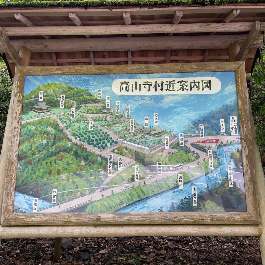 池田有希子のインスタグラム：「今回の京都は足を伸ばし高山寺へお参りに。御多分に洩れず鳥獣戯画お目当てだったのですが、明恵上人という始祖の掛け軸の前で自然と正座で手を合わせ動けなくなっていたらお寺の方が「このお方は凄いんですよ〜流派を敢えて作らなかったんだから」とか色々と教えて下さり、更に調べてみたら面白過ぎて更に更に調べたいお方でした。もっと修行を深めたくて己の右耳を削ぎ落としたりしたお方だったそう。ずっと近くに置いていたというお気に入りの子犬の像がビックリするほど可愛くて「こ、これはフェリシモミュージアム部案件なのでは？！？！」と勝手に興奮したり。  暑くもなく寒くもなく、雨は止んでるけど苔むした境内の澄んで湿った空気は綺麗で、完全にリフレッシュしました。  帰りに寄った川のほとりのお茶屋さんも素晴らしかったです。人生初にしん蕎麦、冷やしぜんざいに抹茶ラテ。美味しゅうございました。  #kousanji #kyoto」
