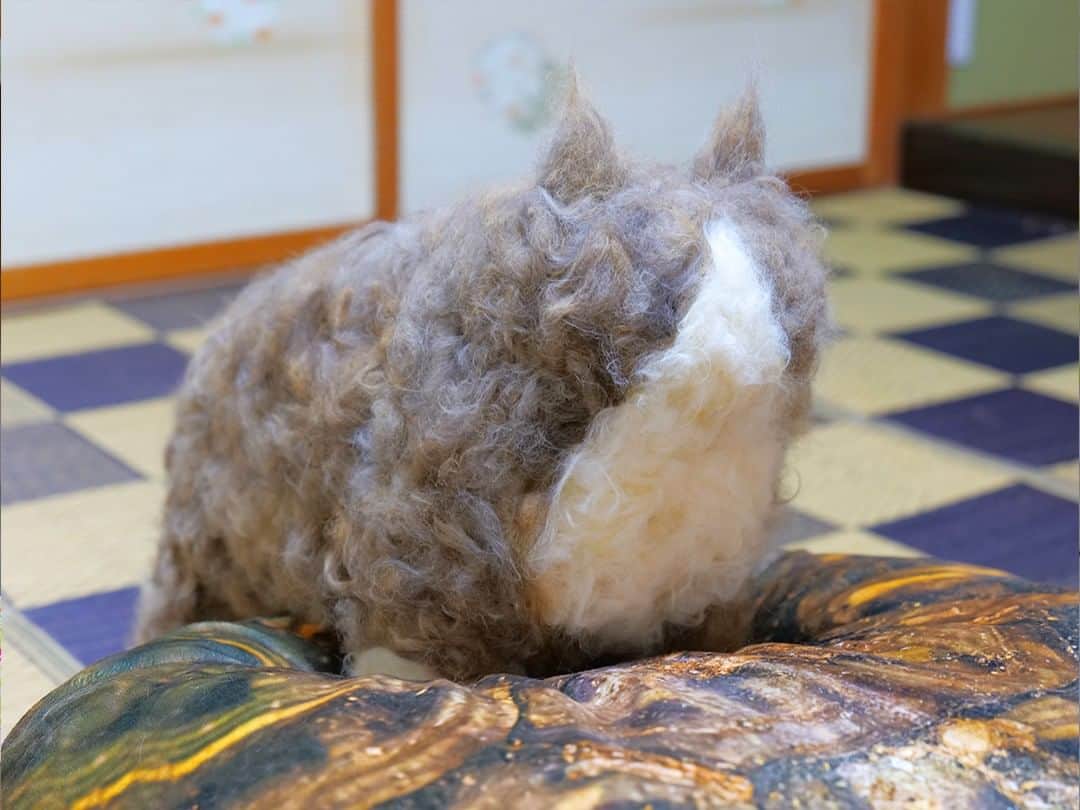 のインスタグラム：「YouTube動画「大型長毛猫の抜け毛で実物サイズのクローンを作ったら、「俺」の威信を賭けた壮絶バトルが勃発してしまった‥」より #猫 #cat #cats #catstagram #catlife #bosscat #bosskichi #pastelcatworld #ねこ #ボス吉 #猫毛アート」