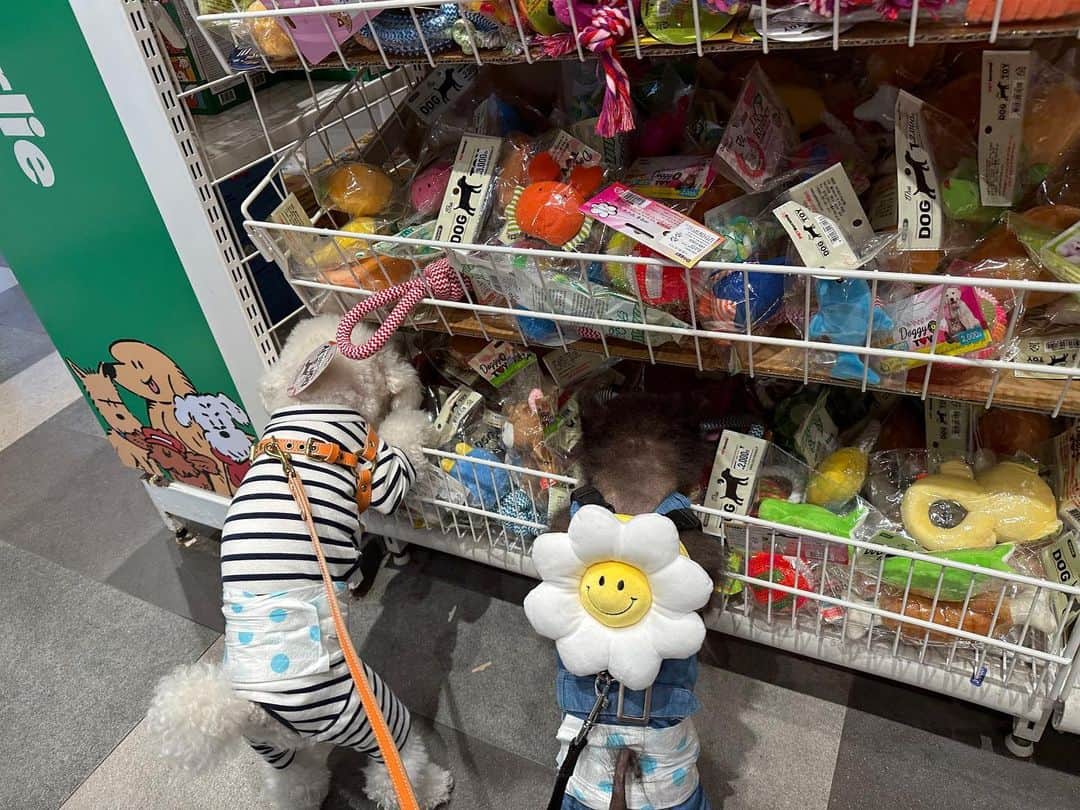 イ・テソンのインスタグラム：「개린이 쇼핑 🛍️ 뭘 그렇게 고르냐!!!ㅋㅋㅋ」