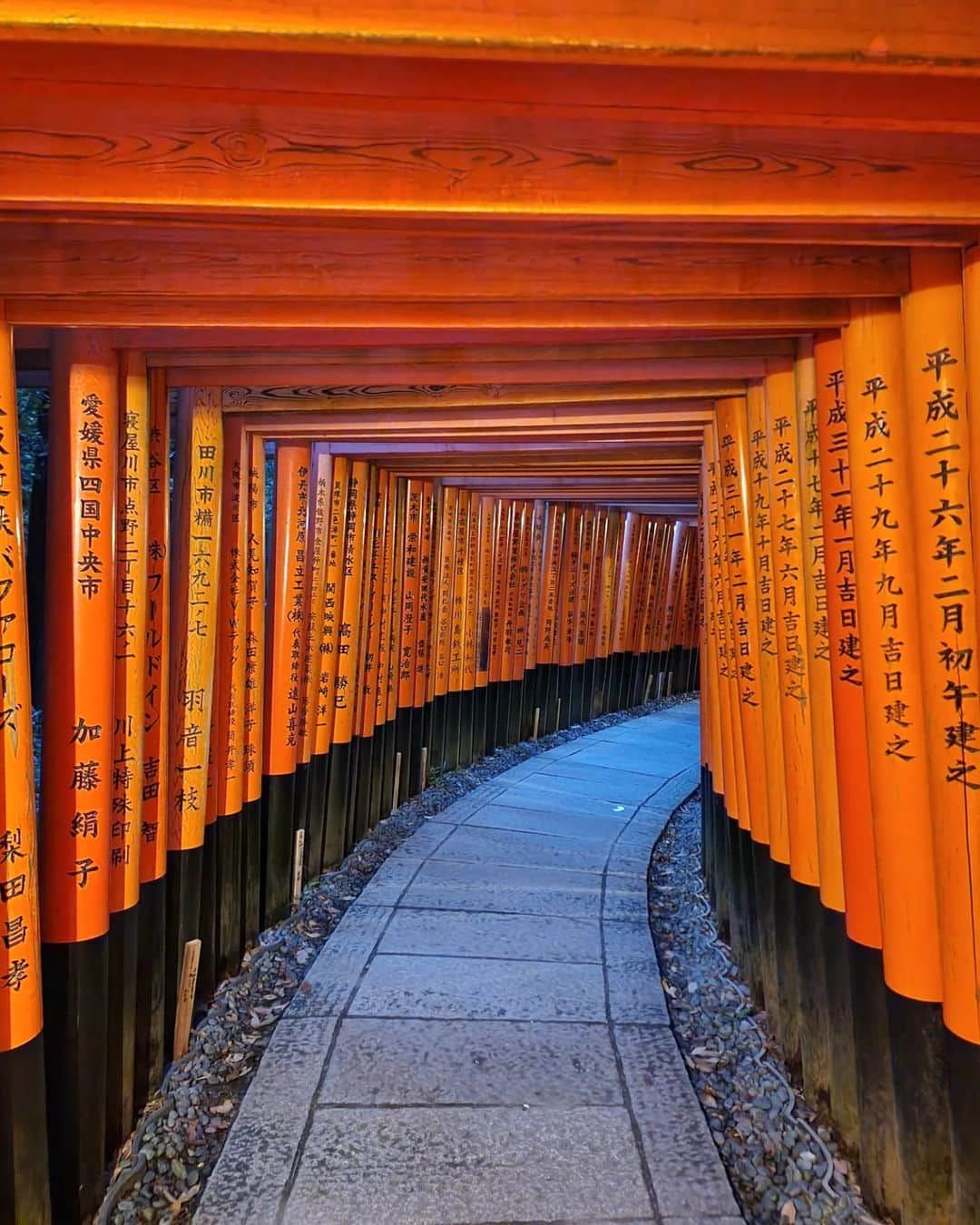 さんのインスタグラム写真 - (Instagram)「Japan 🤩🇯🇵🫰🏻」6月25日 23時06分 - lupo_6