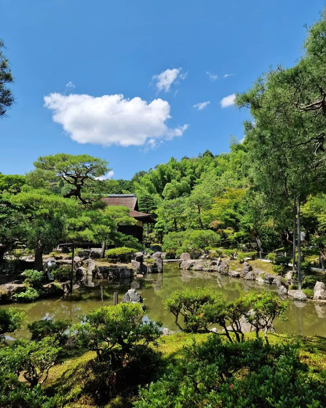 さんのインスタグラム写真 - (Instagram)「Japan 🤩🇯🇵🫰🏻」6月25日 23時06分 - lupo_6