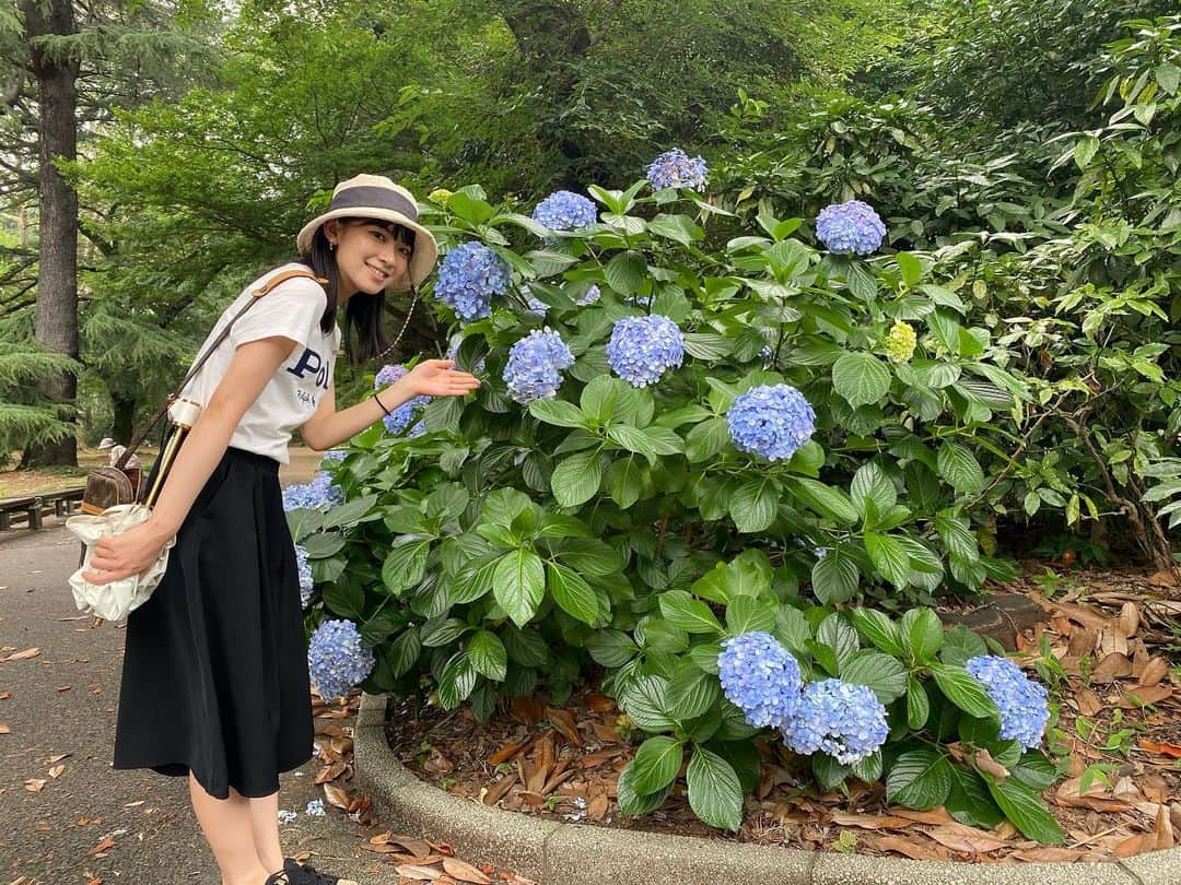 檜山沙耶のインスタグラム：「新宿御苑にて🌿 紫陽花が綺麗に咲いていました💠  鳴る神の少し響みてさし曇り雨も降らぬか君を留めむ  #言の葉の庭」