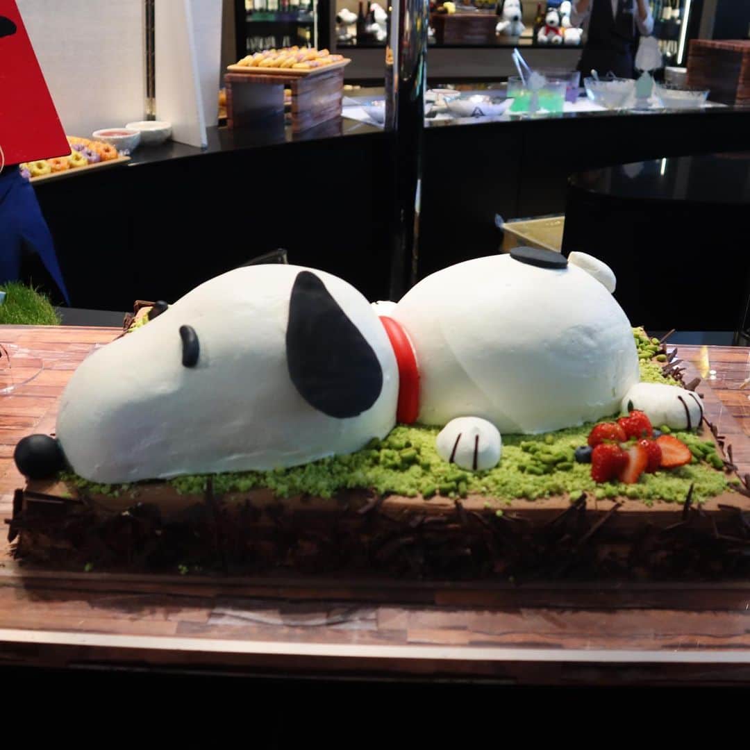 チョコレートペパーミントミニロールのレシピ