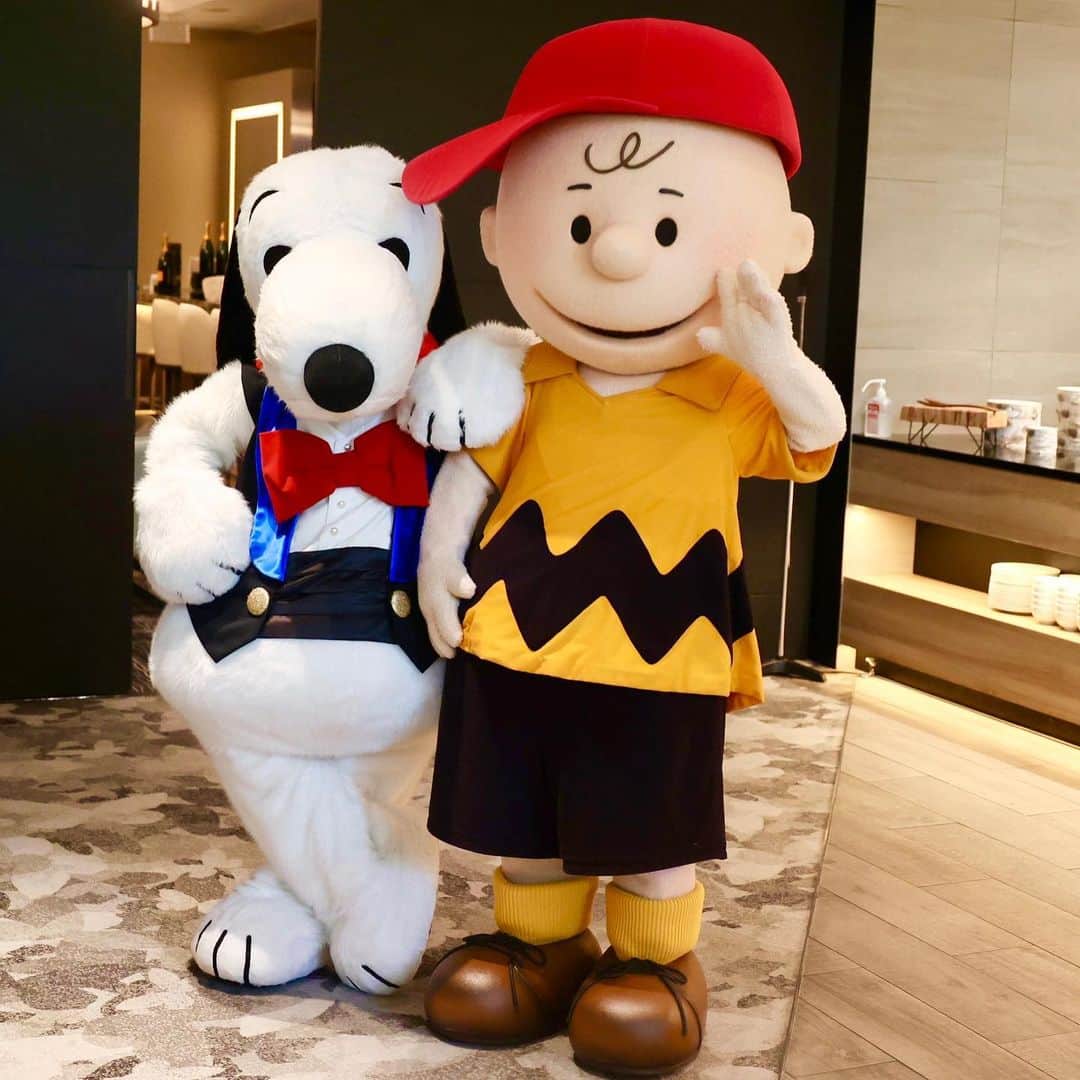 チョコレートペパーミントミニロールのレシピ