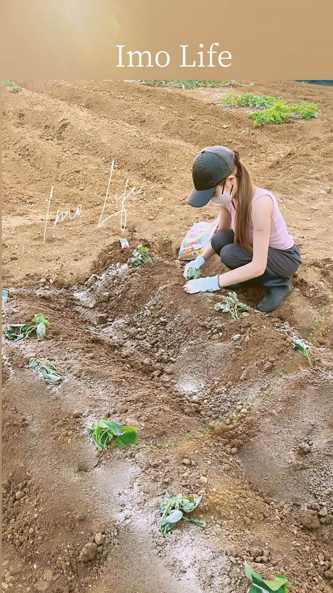 鈴木絢子のインスタグラム