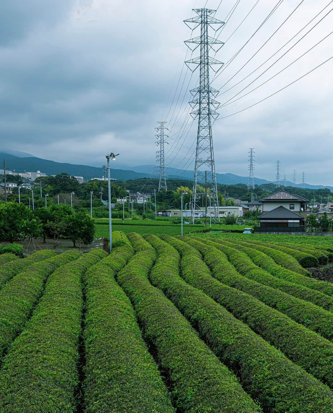 東京電力ホールディングス株式会社のインスタグラム：「静岡県　鉄塔と茶畑 Steel Towers and Tea Plantation in Shizuoka  #東京電力 #tepco #静岡県 #鉄塔 #鉄塔のある風景 #鉄塔の会 #送電鉄塔 #鉄塔好き #鉄塔と空 #送電線鉄塔 #高圧電線 #steeltower #pylon #pylons #steeltower_artistic #nwdel #夏 #風景写真 #景色写真 #曇り空 #くもり #clouds_of_our_world #cloudscapes #cloudsky」