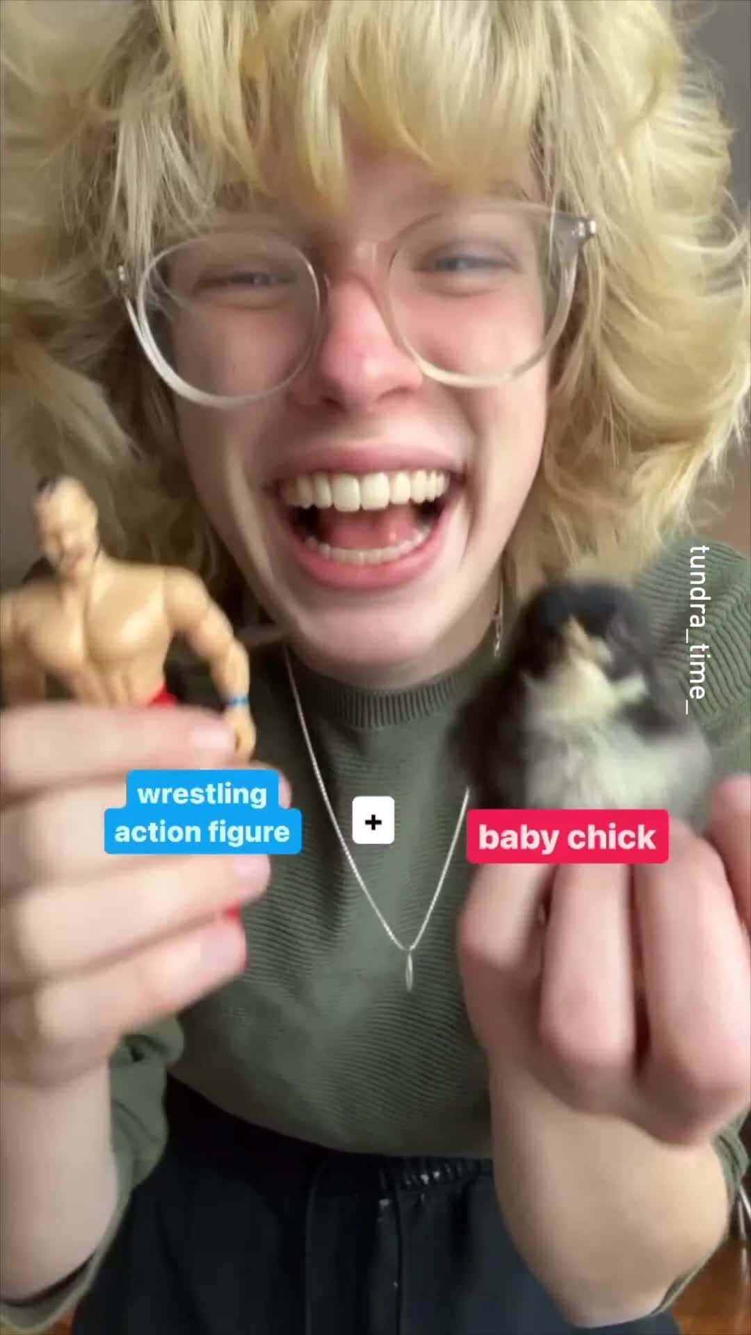 のインスタグラム：「macho macho 📹 @tundra_time_  - #babychick #macho #toystory #9gag」